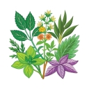Category image