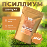 Псиллиум шелуха, Жив Здоров, 100г/300г/1кг