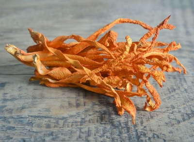 Кордицепс (Cordyceps militaris), гриб, плодовое тело, Жив Здоров, 50/100 г